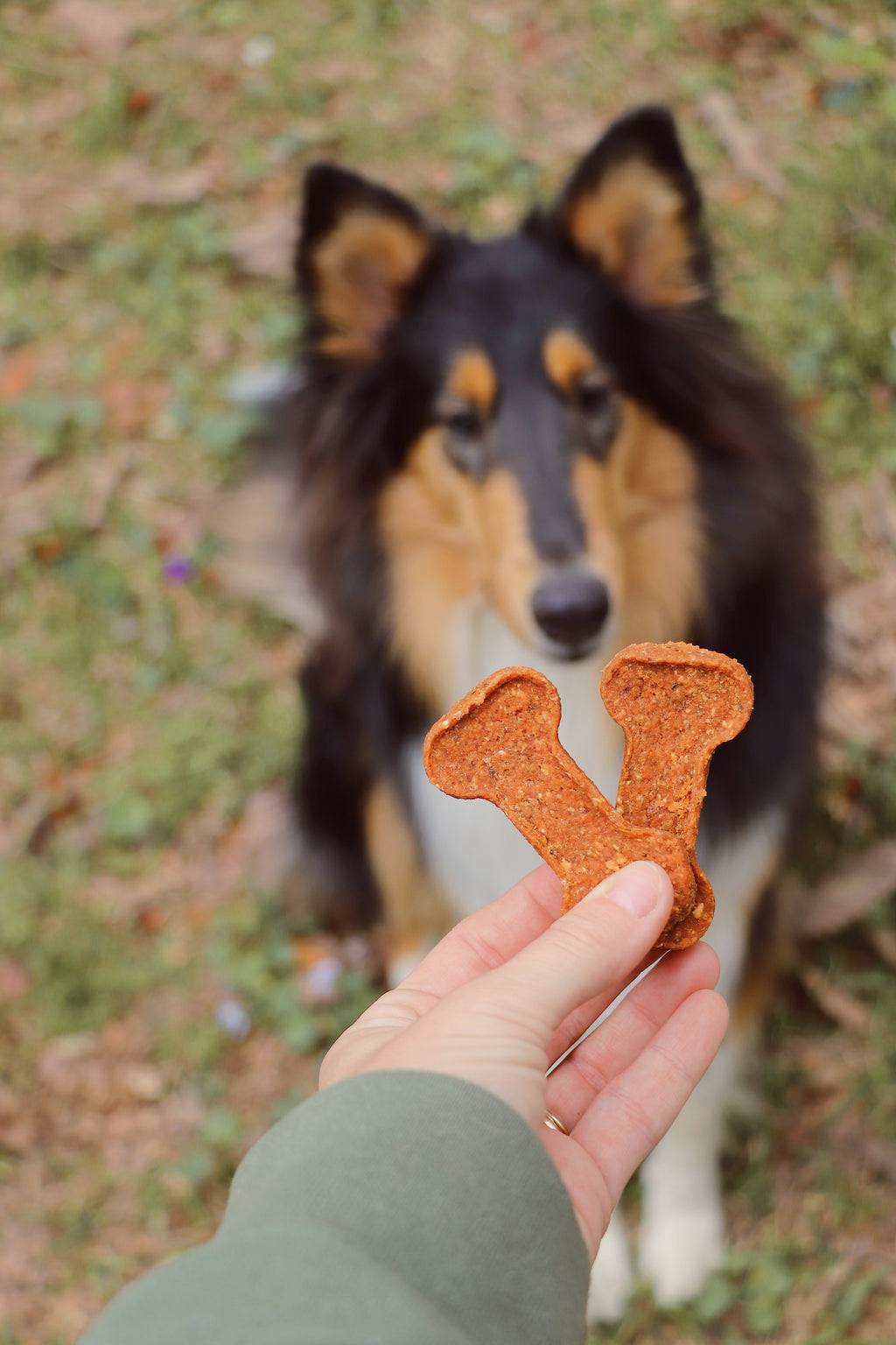 Sweet Potato Bones